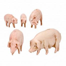 Assorted Pigs Landi 10 cm