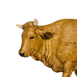 Ox Standing for Nativity...