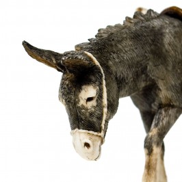 Donkey Standing Landi...