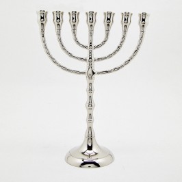 Menorah Candelabrum in Brass