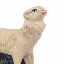 Sheep with Base Plaster...