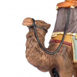 King Melchior on Camel 20...