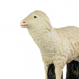 Sheep for Plaster Nativity...