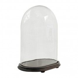 Glass Dome with Oval Base...